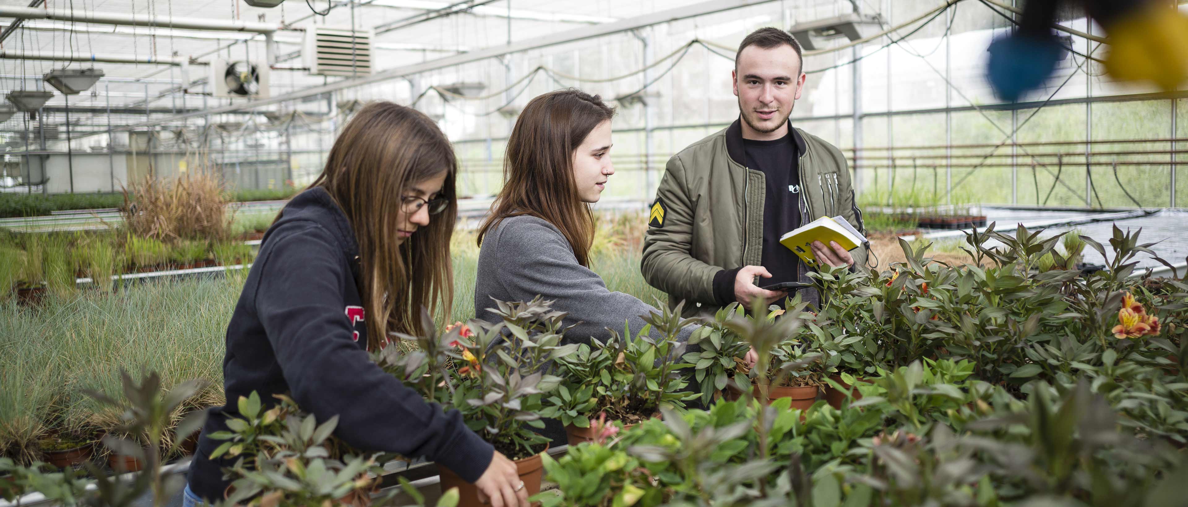 Jeunes s'occupant de plantes