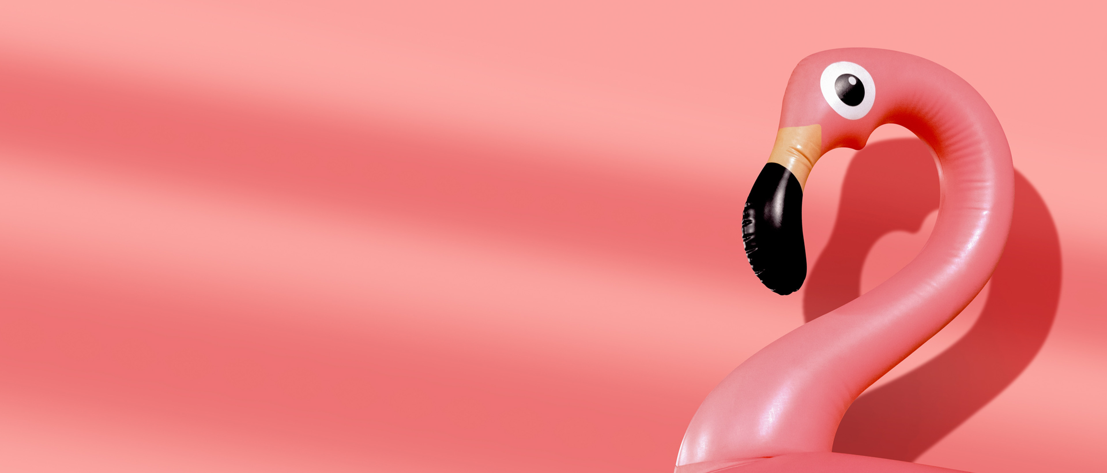 Des idées pour ton été 2022 - Flamand rose