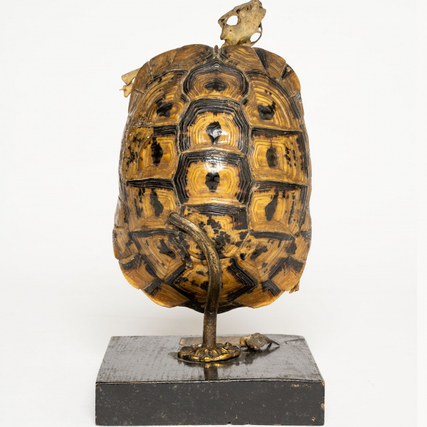 Histoire de bahuts - Lycée Gay Lussac - Archives