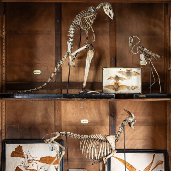 Histoire de bahuts - Lycée Gay Lussac - Archives