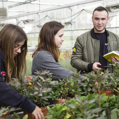Agroécologie : les lycées à la pointe