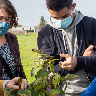 Les lycées agricoles à la pointe de la transition