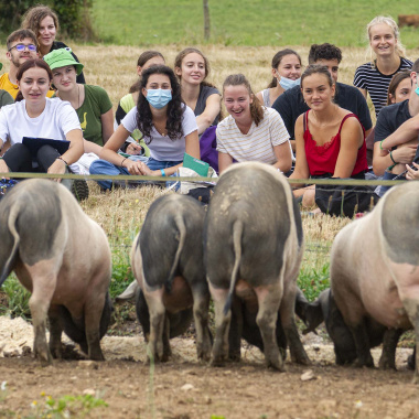 Vet Sup Agri : 3 jours pour découvrir le métier de vétérinaire et d'ingénieur agri-agro