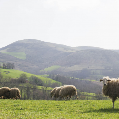 Pyrénées : répondez à l'enquête jeunesse