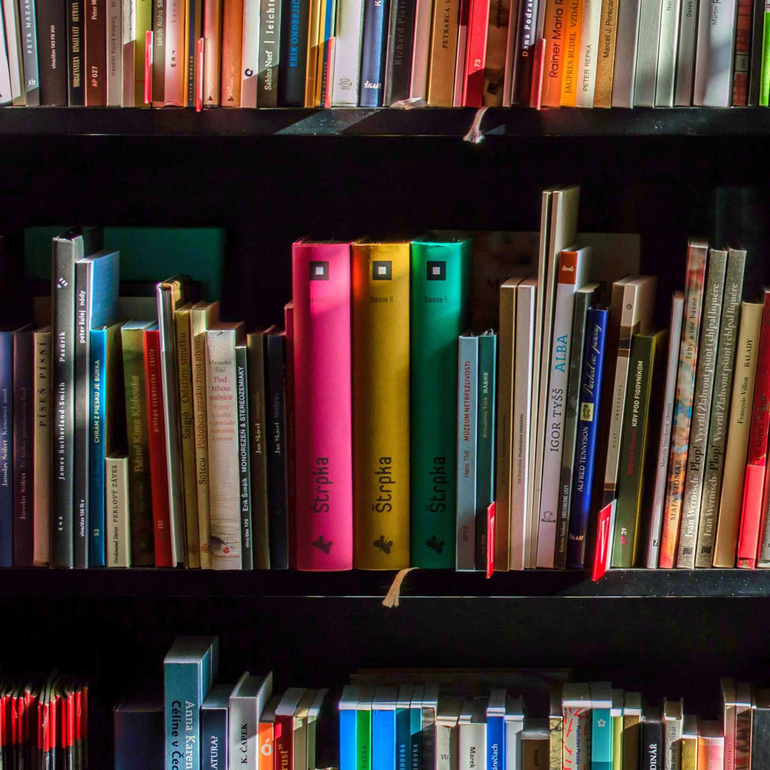 Livres dans une bibliothèque