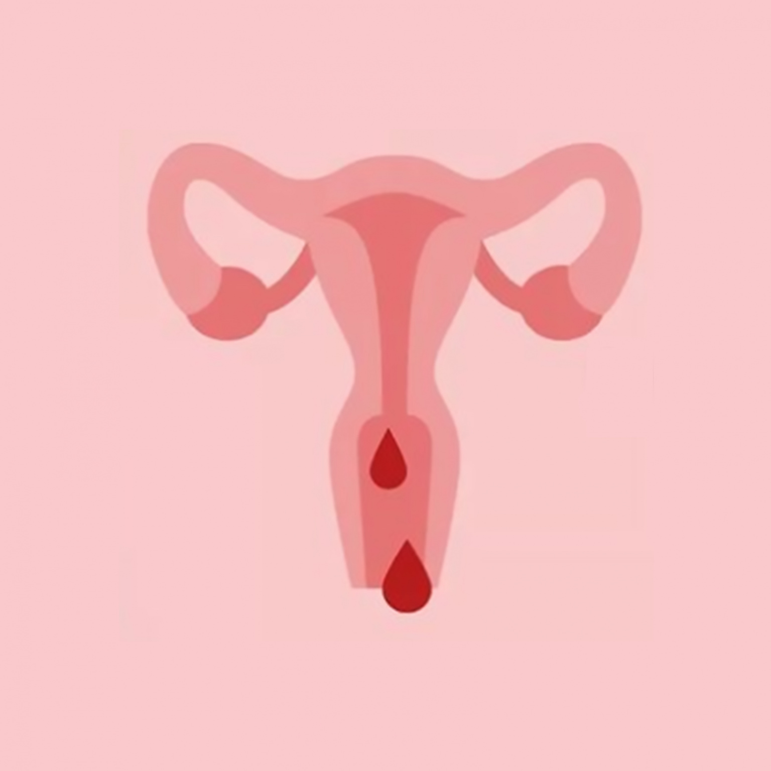 illustration règles