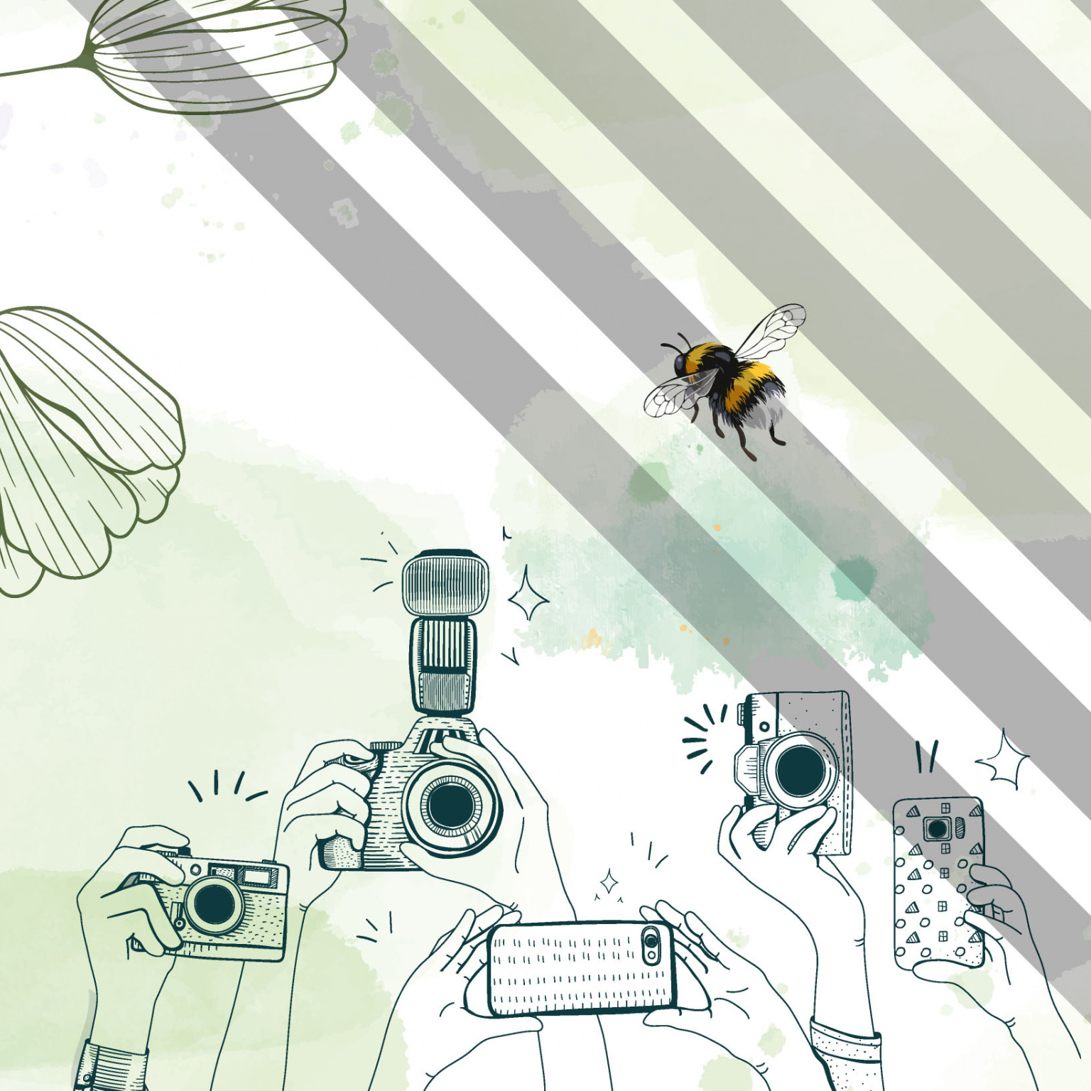 Concours photo lycéen