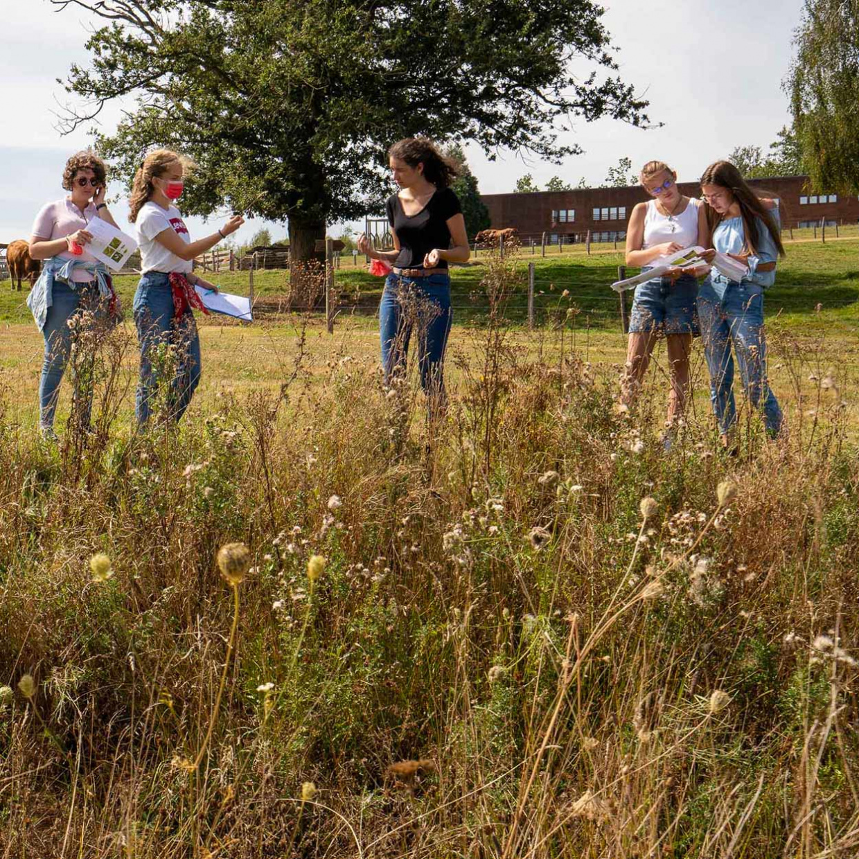 Atlelier dans la nature