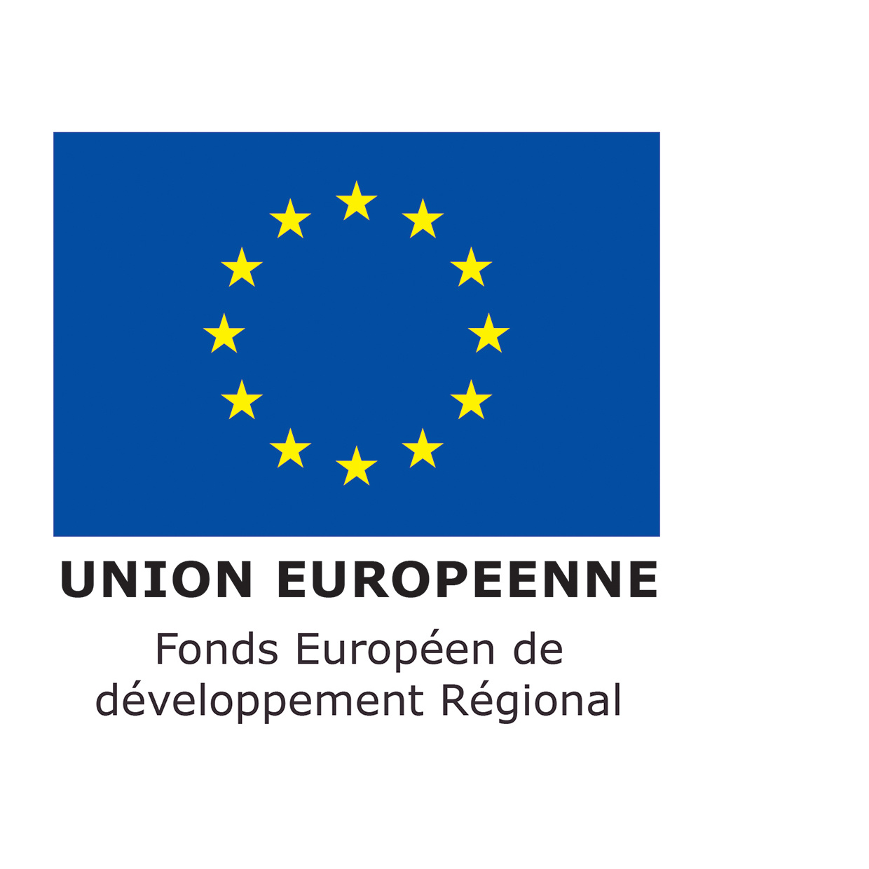Logo UE Feder
