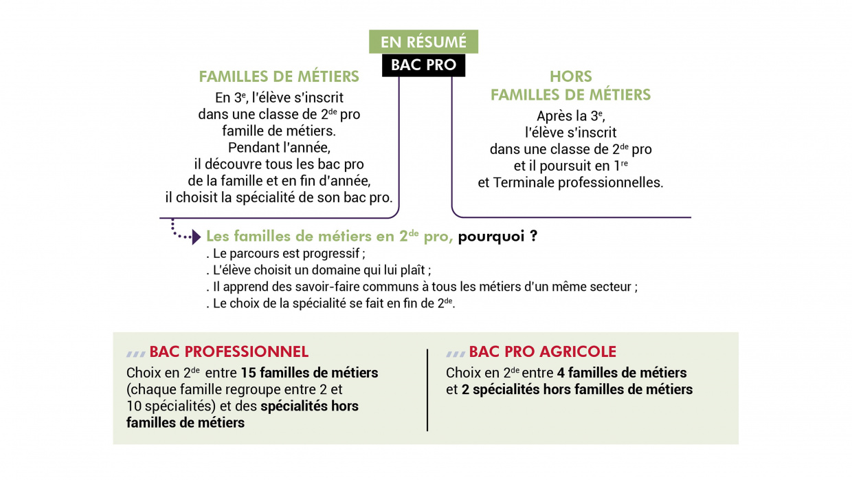 Lycée pro ou agri  ? Infographie 2024