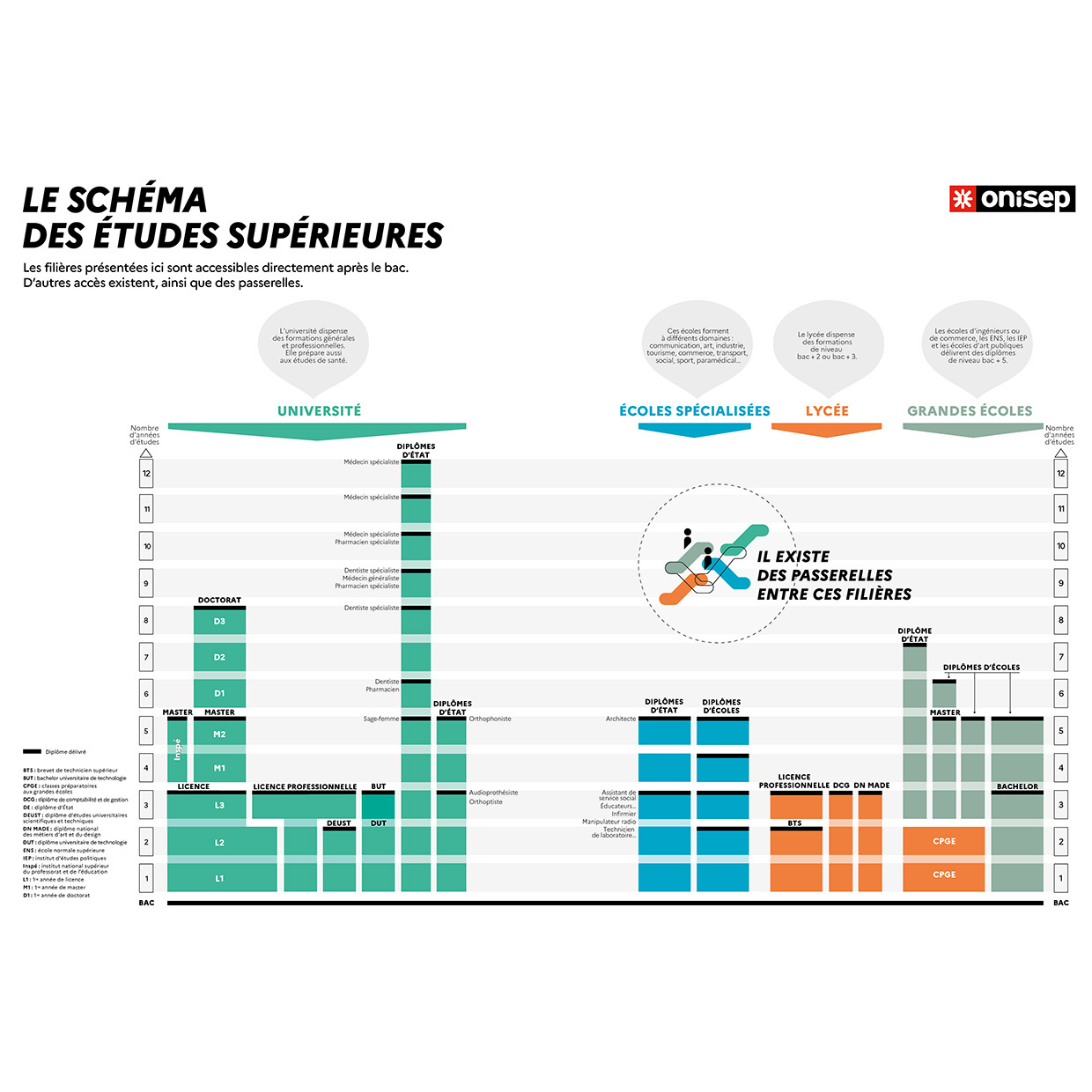 Schéma études supérieures