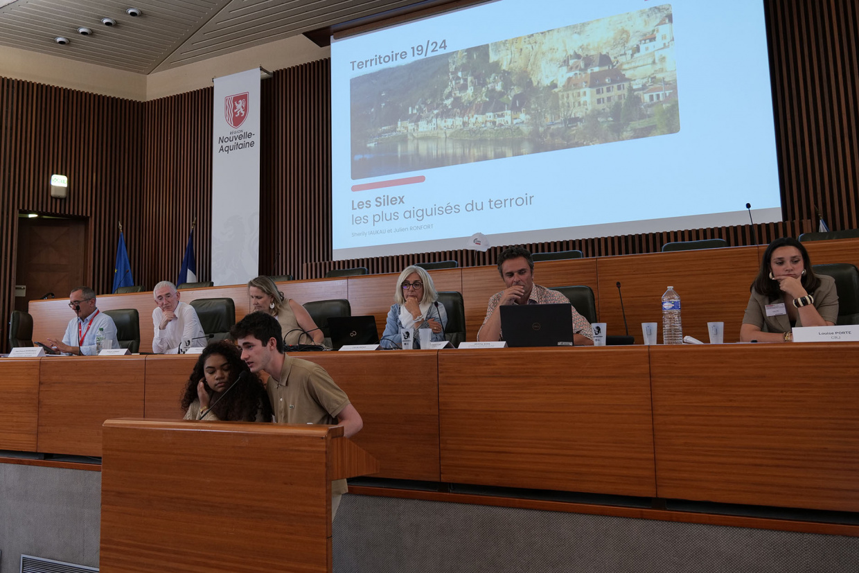 Présentation du groupe les silex