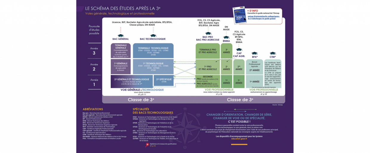 Schéma des études après la 3e - 2026