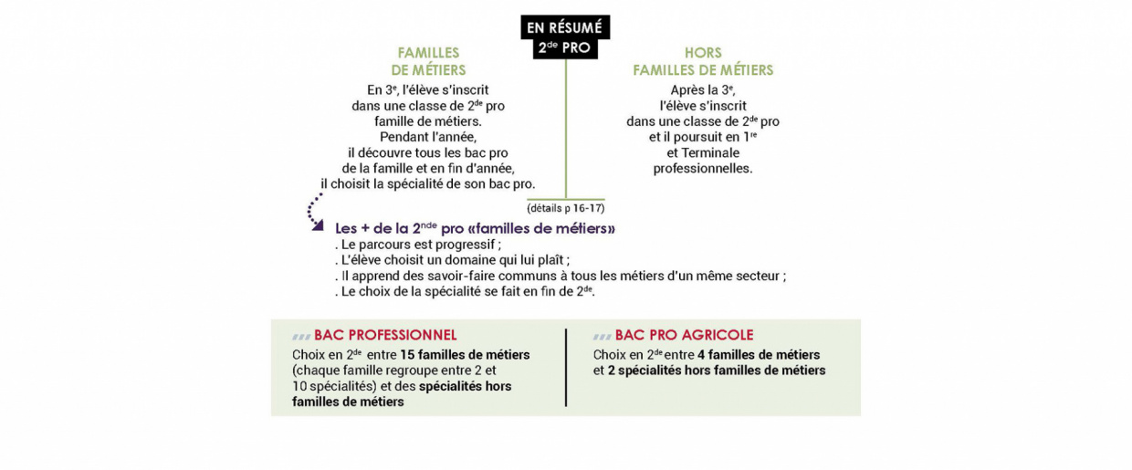 Le bac professionnel ou le bac professionnel agricole