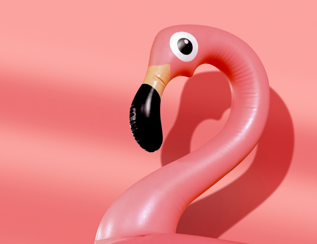 Des idées pour ton été 2022 - Flamand rose