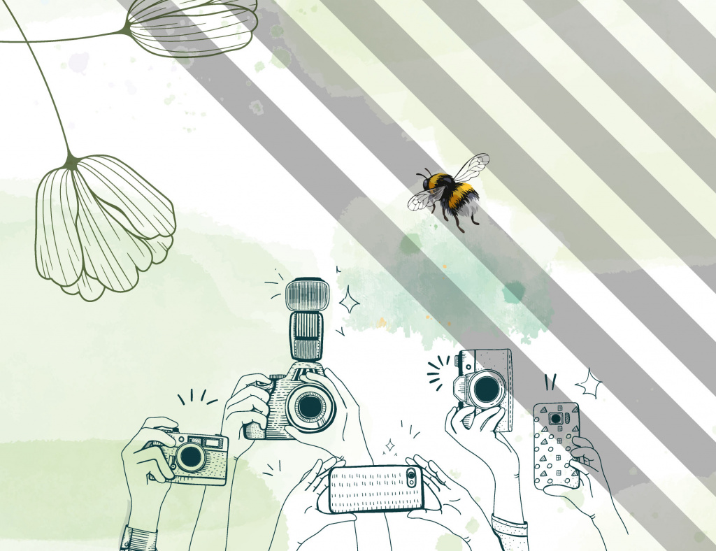 Concours photo lycéen