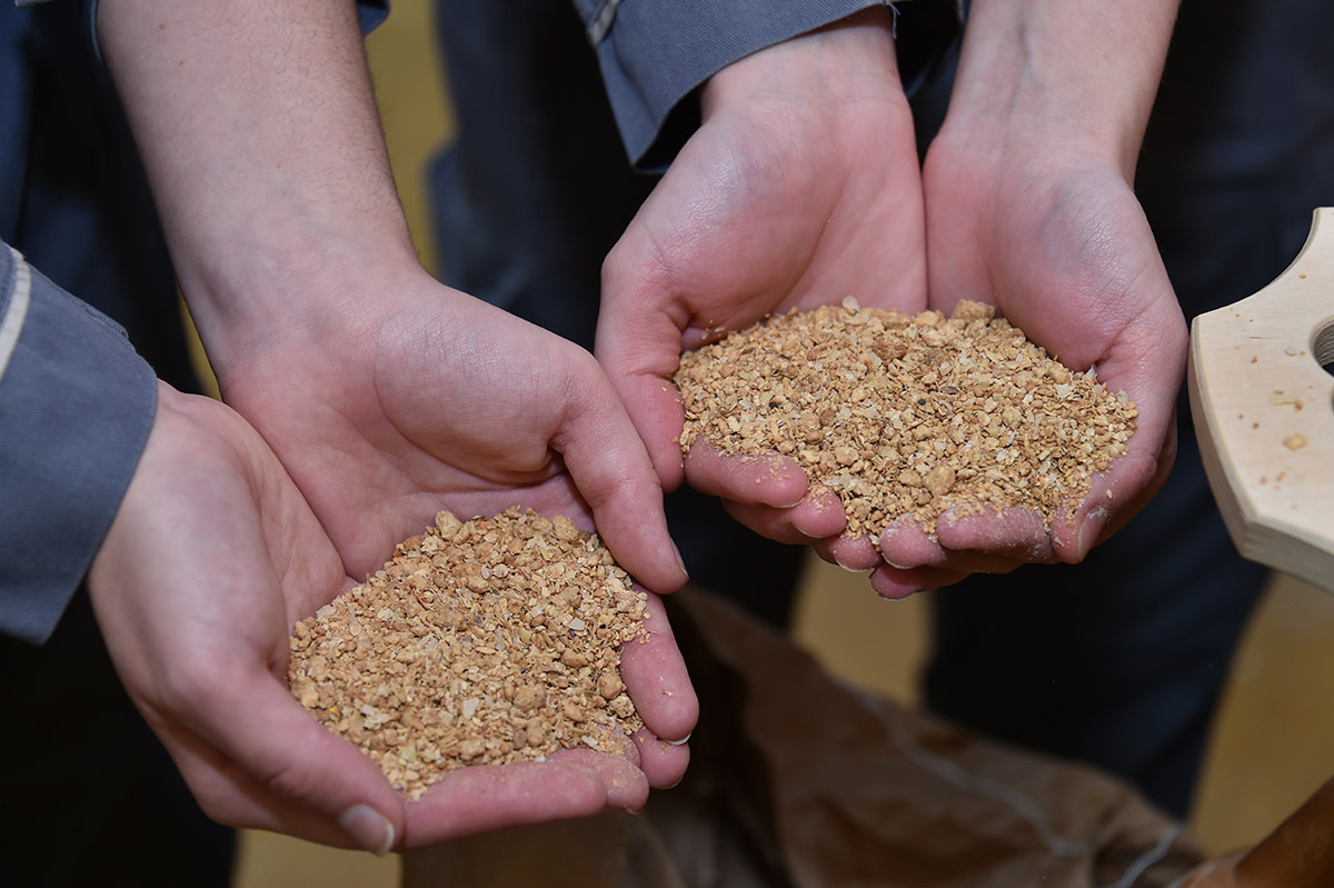Ecole nationale supérieure de meunerie