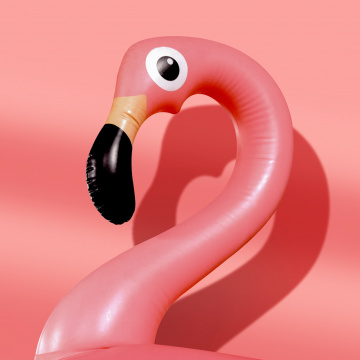 "Des idées pour ton été" le forum Job d'été - Bordeaux