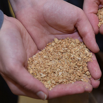 L'ENSMIC, la formation d'excellence des meuniers de demain