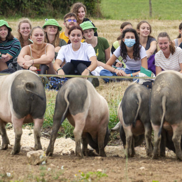 Vet Sup Agri : 3 jours pour découvrir le métier de vétérinaire et d'ingénieur agri-agro