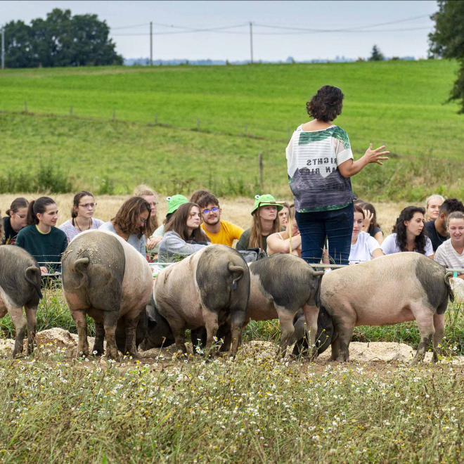Pour une école vétérinaire publique à Limoges
